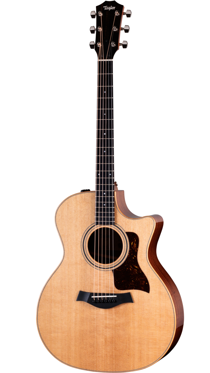 ギター Taylor 314ce Limited Edition Japan サペリ・アコースティック・エレクトリックギターTaylor Guitars